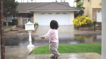 爆料下雨的视频,暴雨来袭!网友现场直击惊心动魄的雨景瞬间 第1张 爆料下雨的视频,暴雨来袭!网友现场直击惊心动魄的雨景瞬间 第1张