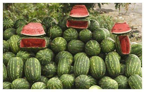 路边摊免费吃瓜,街头美食盛宴等你来尝 第2张 路边摊免费吃瓜,街头美食盛宴等你来尝 第2张